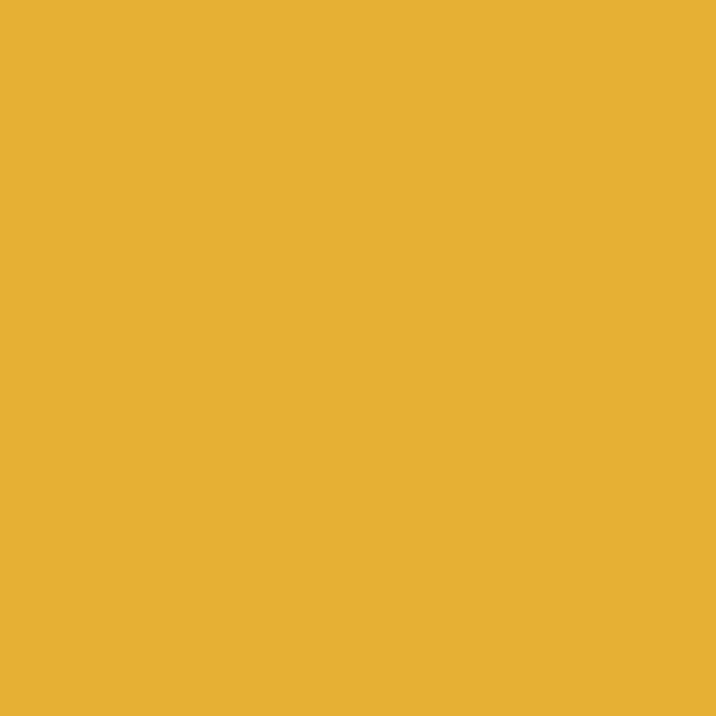 24/7 Solids Sunflower