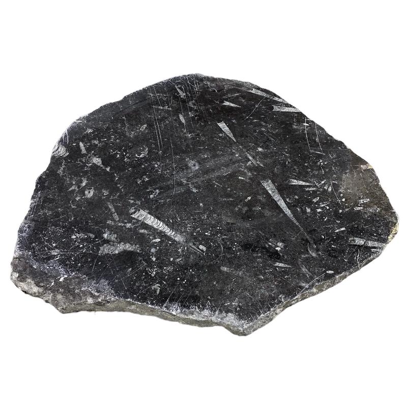 13lb Fossil Stone 14x16