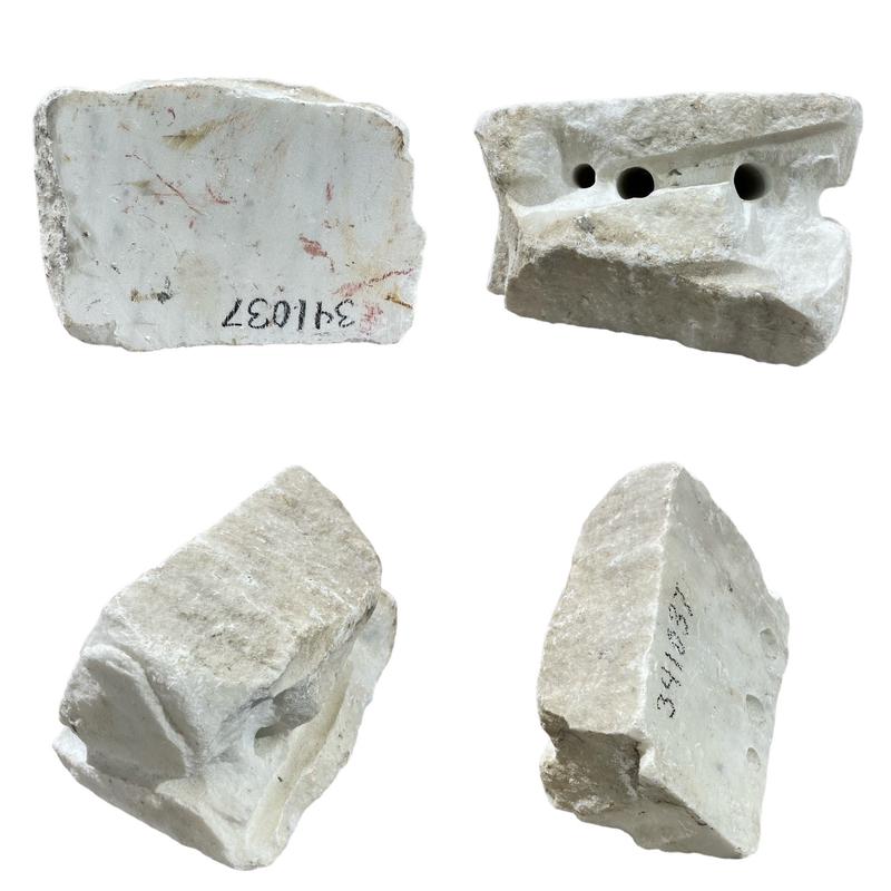 12lb Carrara Bianco blue/gray 6x6x8 #341037