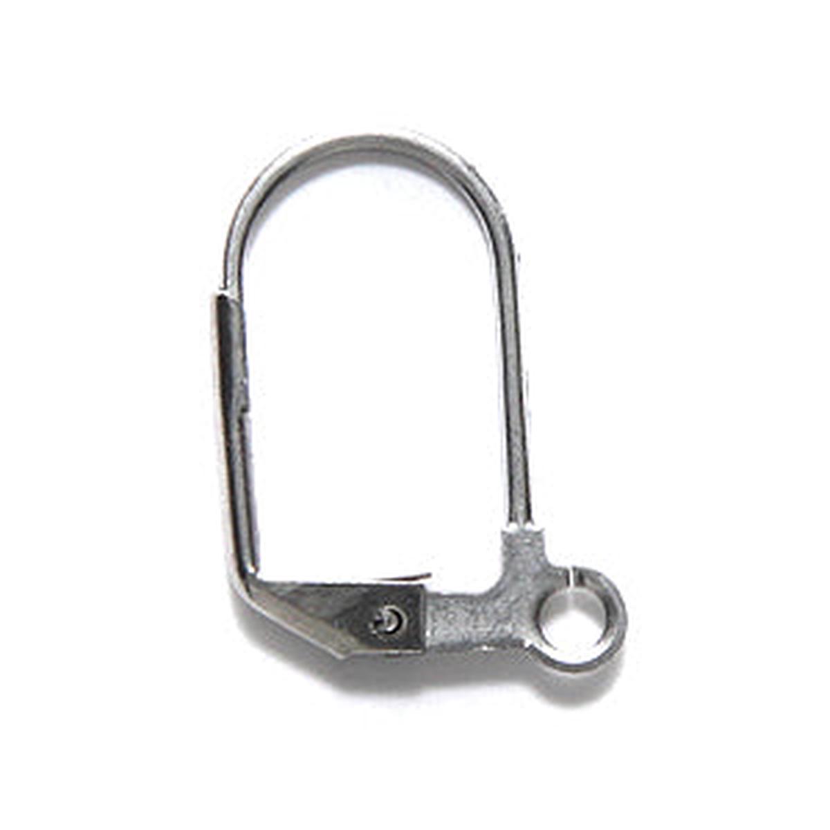 FI43-SN: Earring Lever Back Stainless Steel - 6PR